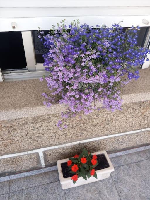 Precioso Apartamento En San Vicente De O Grove Сан-Вісенте-де-О-Ґрове Екстер'єр фото